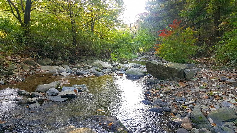 7147e9c226d271d1fa62e53a939463a0_1545744