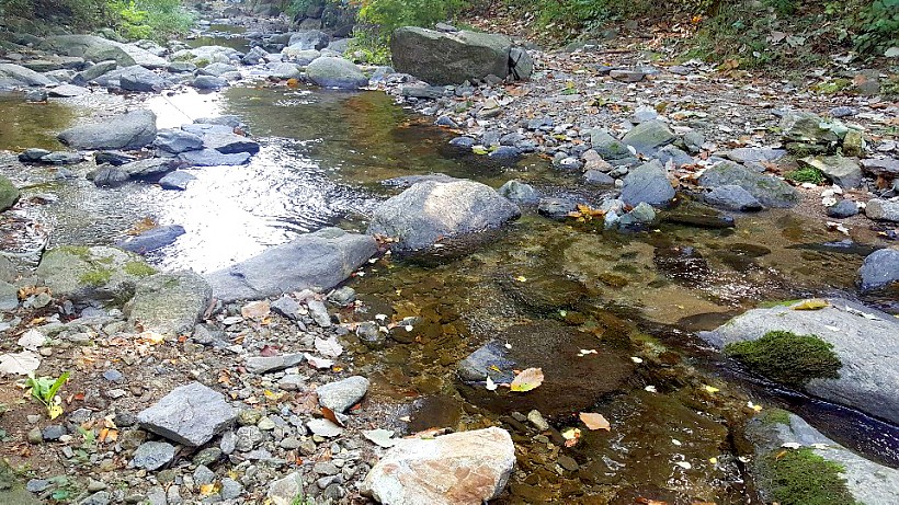 7147e9c226d271d1fa62e53a939463a0_1545745