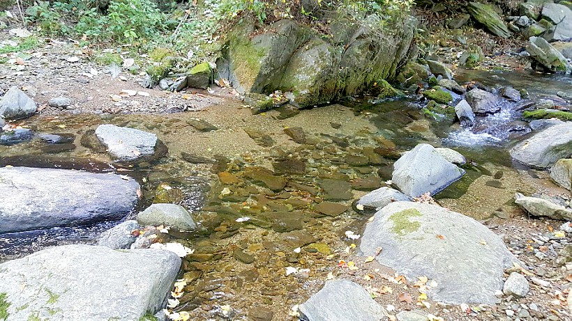 7147e9c226d271d1fa62e53a939463a0_1545745