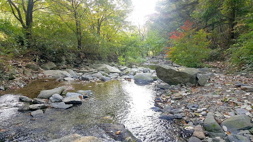 7147e9c226d271d1fa62e53a939463a0_1545745